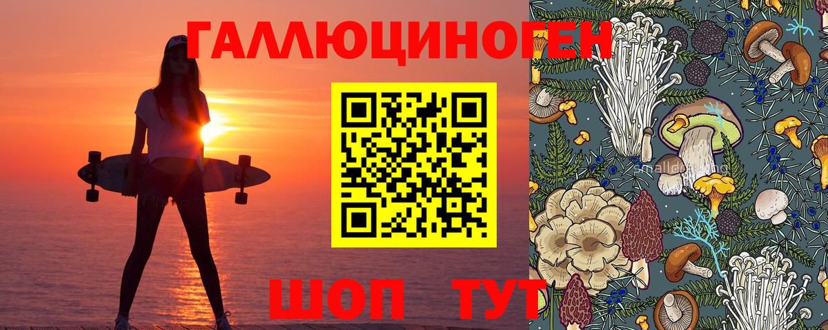 Псилоцибиновые грибы прущие грибы Псков